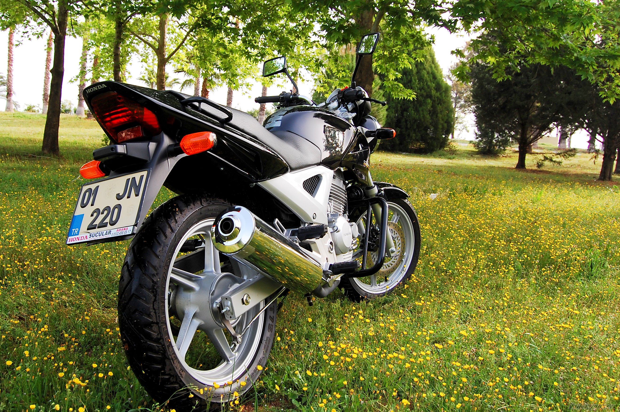 2006 HONDA CBF 250 | Picture 1264984 motorcycle photo