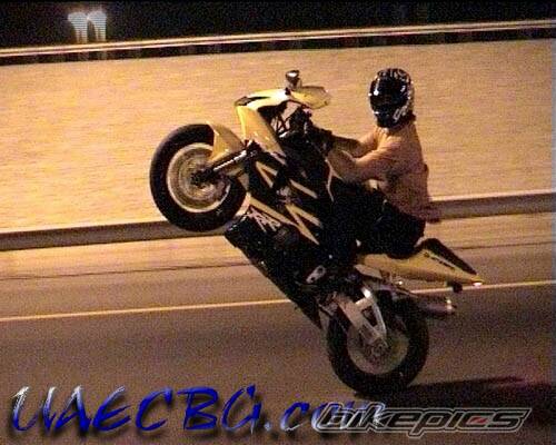 2002 HONDA CBR 900 | Picture 126508 motorcycle photo