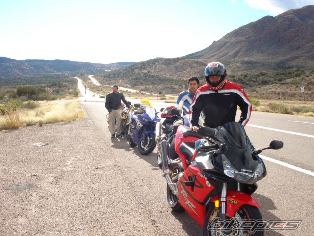 2003 HONDA CBR 900 | Picture 1265331 motorcycle photo