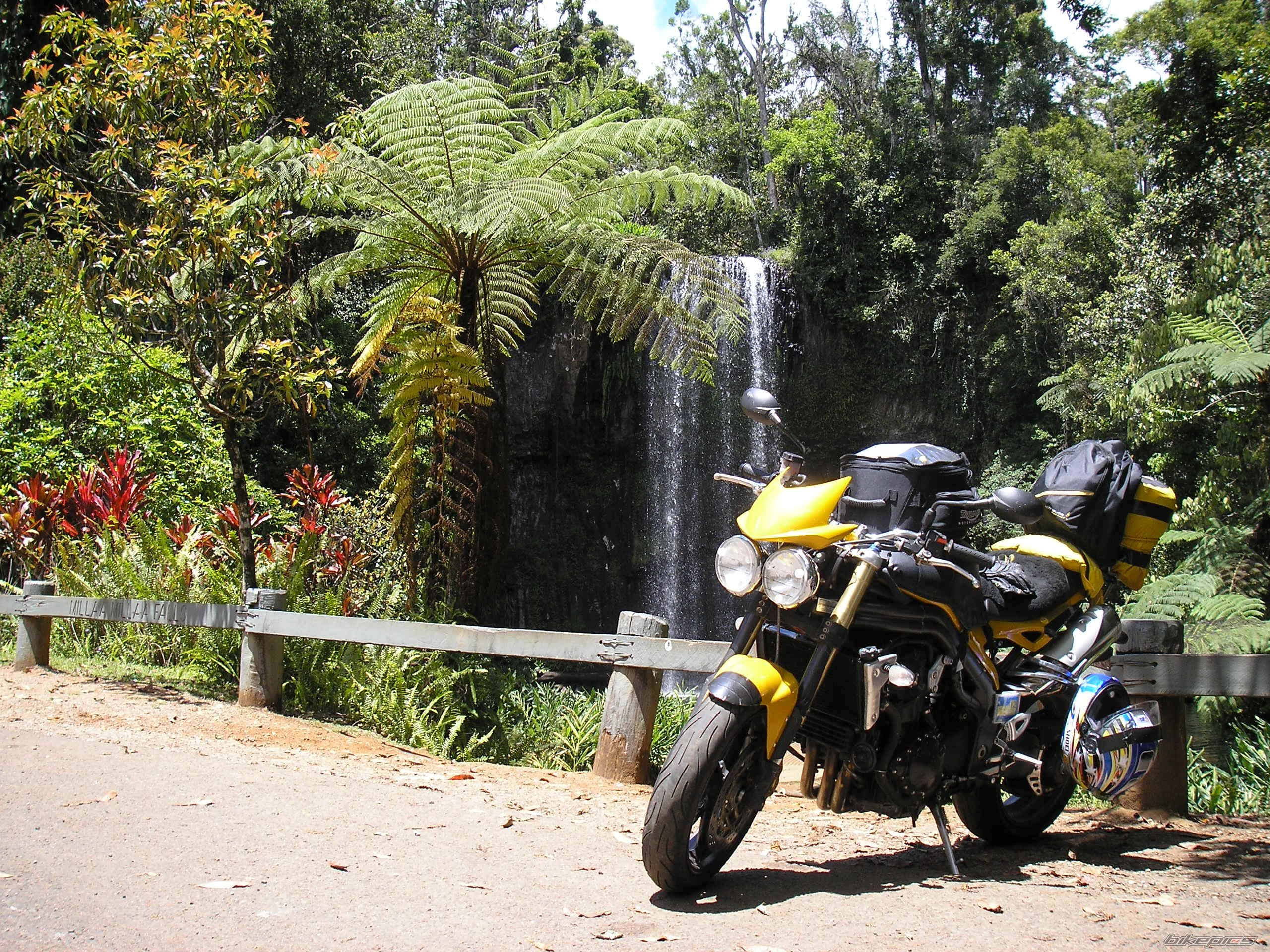 2006 TRIUMPH SPEED TRIPLE | Picture 1265351 motorcycle photo