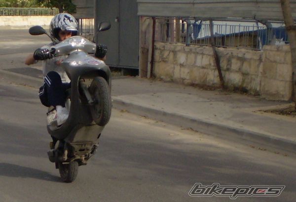 2005 SYM PURE 50 | Picture 1265369 motorcycle photo