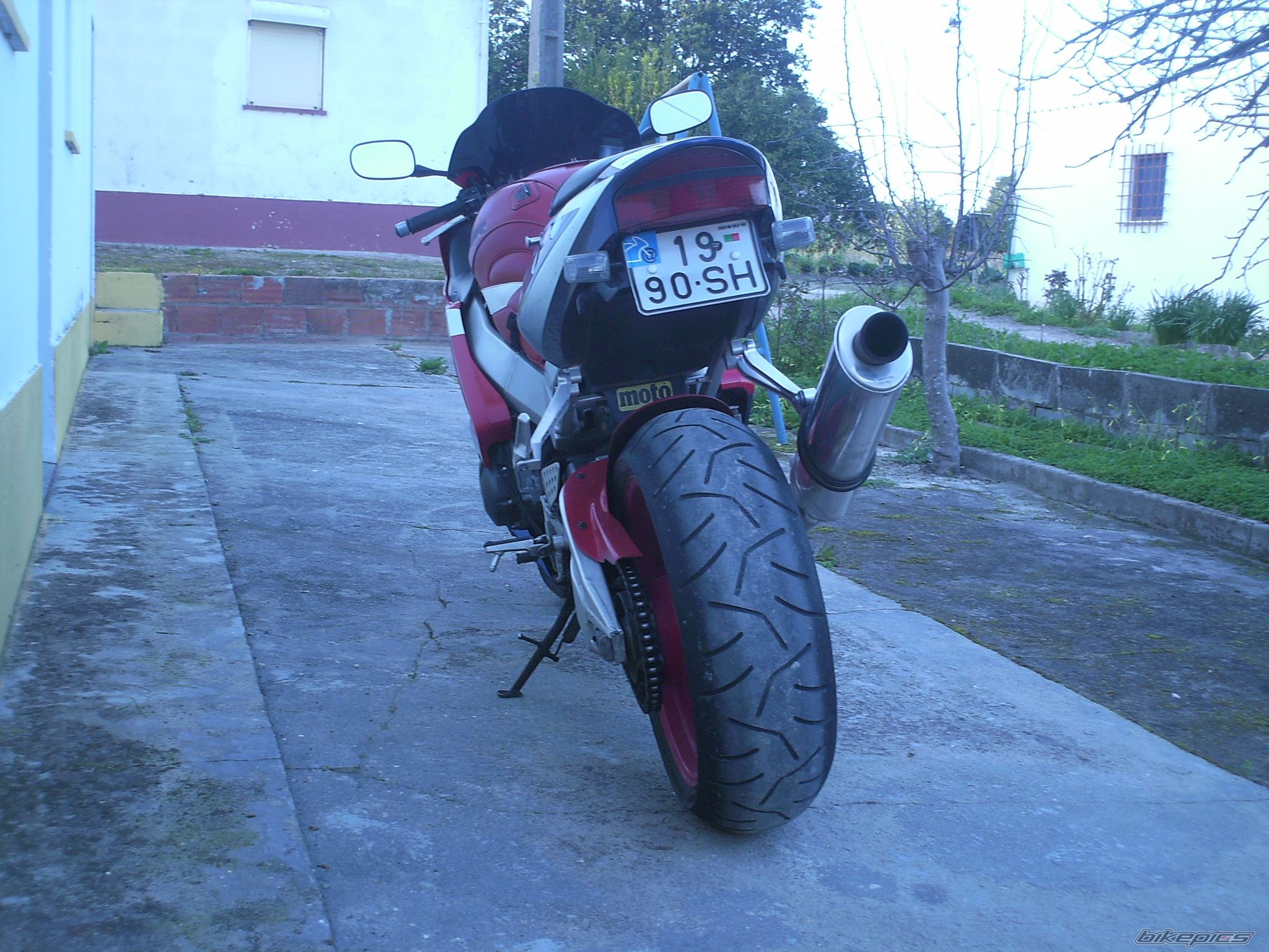 2001 HONDA CBR 900 | Picture 1265953 motorcycle photo