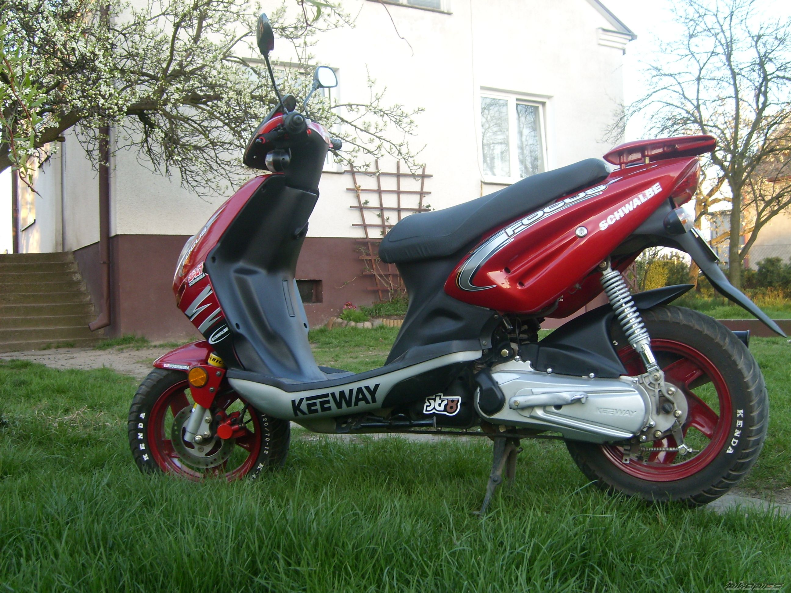 2006 KEEWAY FOCUS 50 | Picture 1266009 motorcycle photo