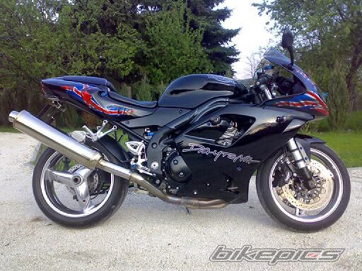 2004 TRIUMPH DAYTONA 955 | Picture 1266016 motorcycle photo
