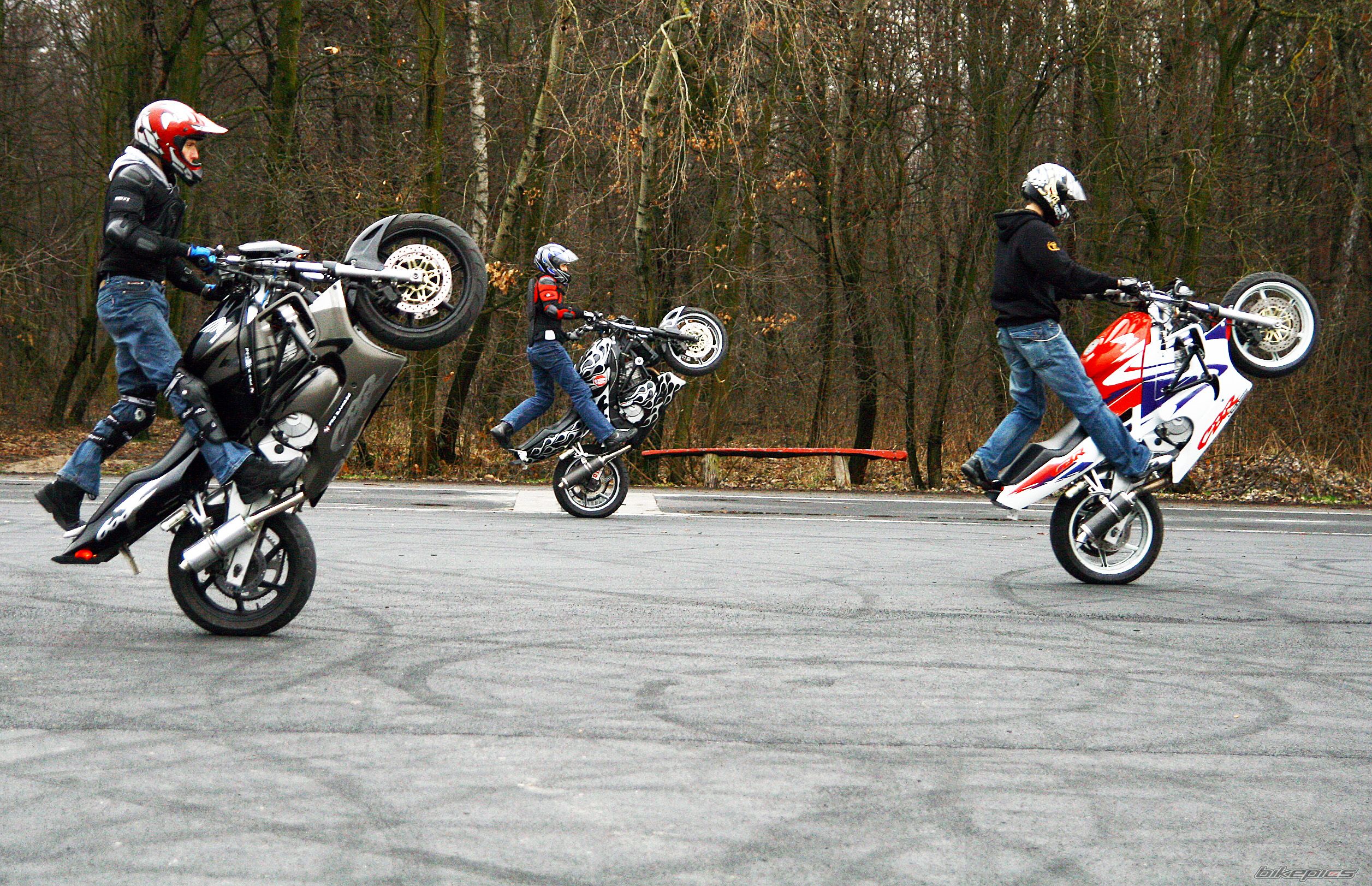 1998 HONDA CBR 600 | Picture 1267530 motorcycle photo