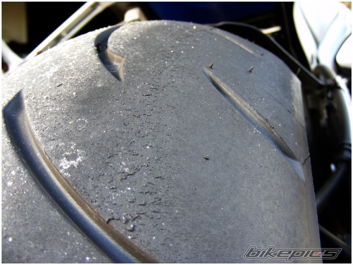 2008 SUZUKI GSX R 1000 | Picture 1267819 motorcycle photo