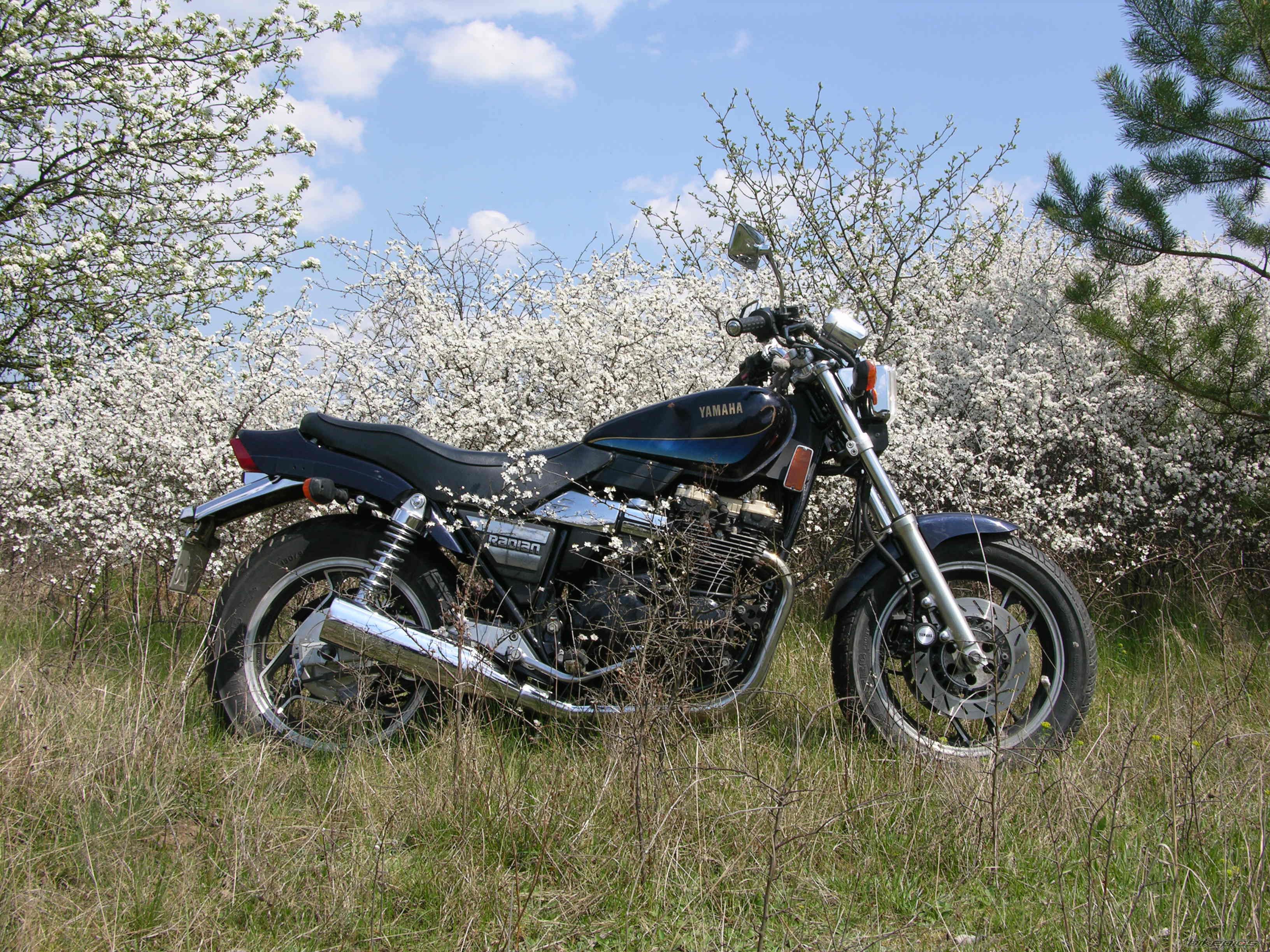 1986 YAMAHA YX 600 | Picture 1268034 motorcycle photo