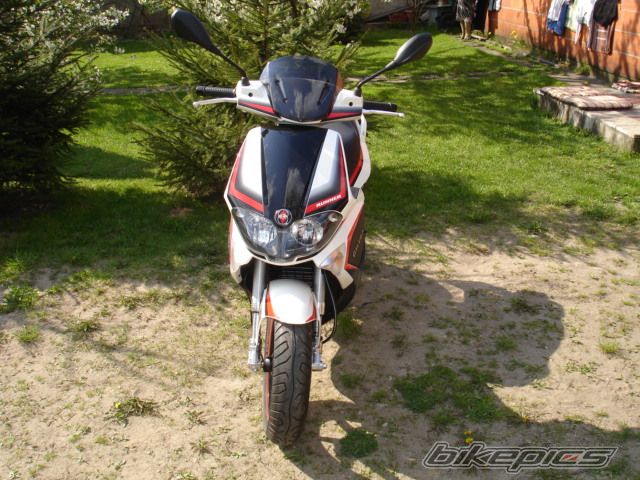 2008 GILERA RUNNER 50 | Picture 1268098 motorcycle photo