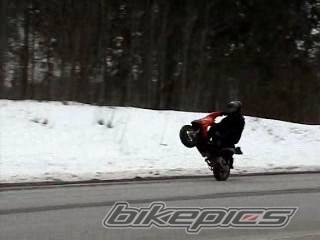 1999 GILERA STALKER 50 | Picture 126811 motorcycle photo