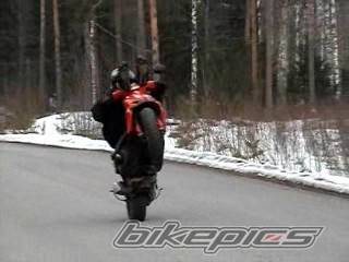 1999 GILERA STALKER 50 | Picture 126812 motorcycle photo