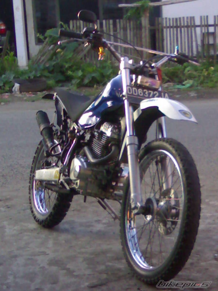 2004 KTM 125 SX | Picture 1268560 motorcycle photo