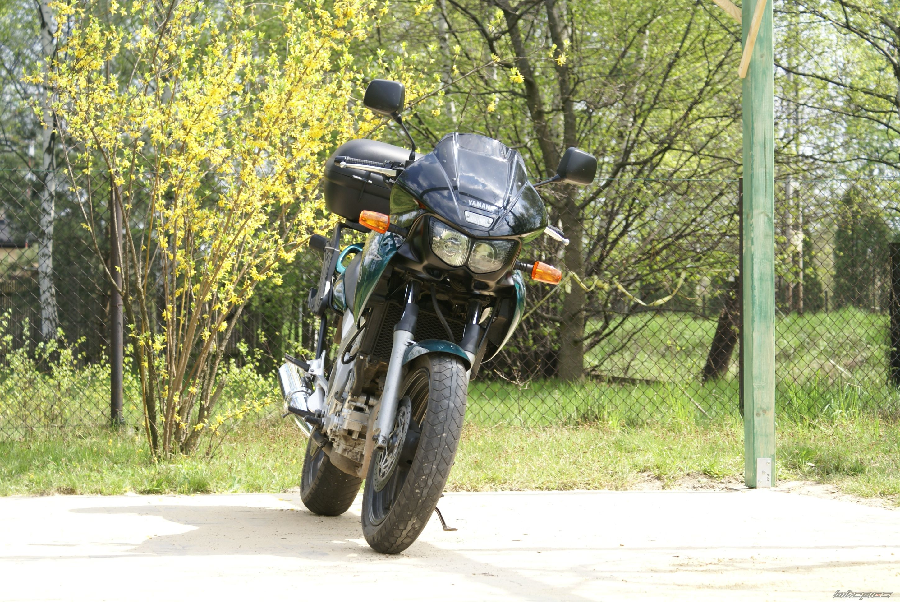 1998 YAMAHA TDM 850 | Picture 1268588 motorcycle photo
