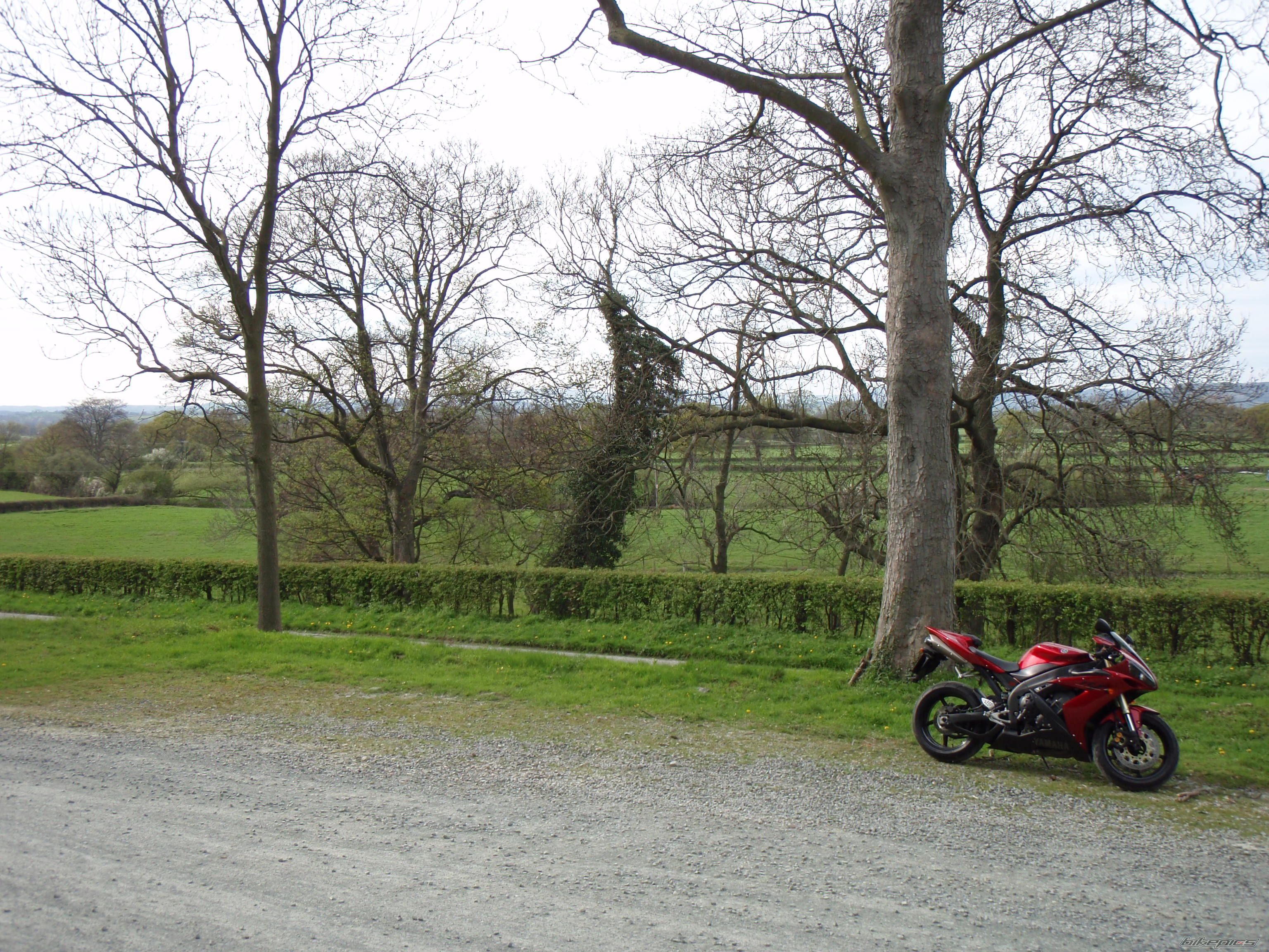 2004 YAMAHA YZF R1 | Picture 1268593 motorcycle photo