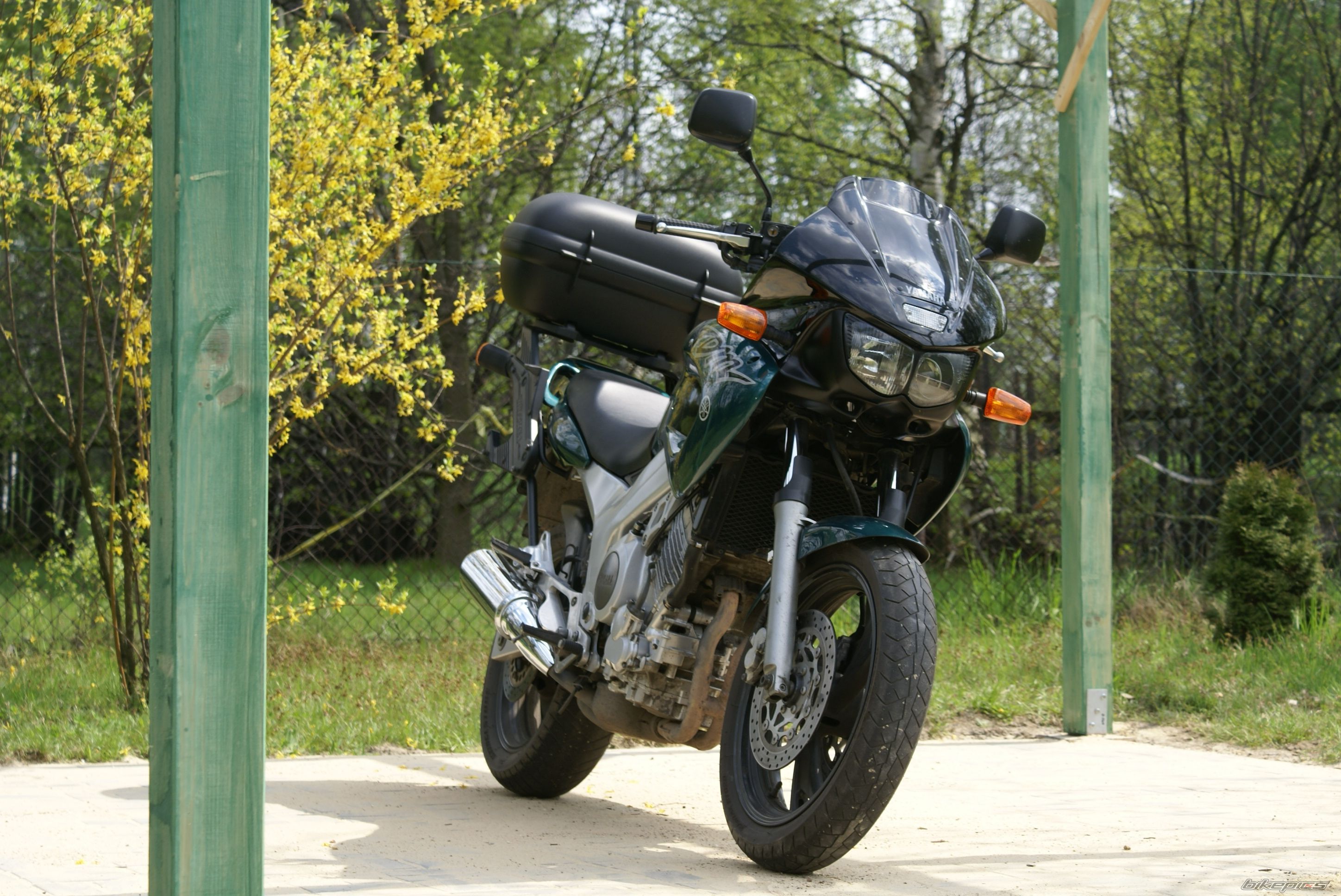 1998 YAMAHA TDM 850 | Picture 1268599 motorcycle photo