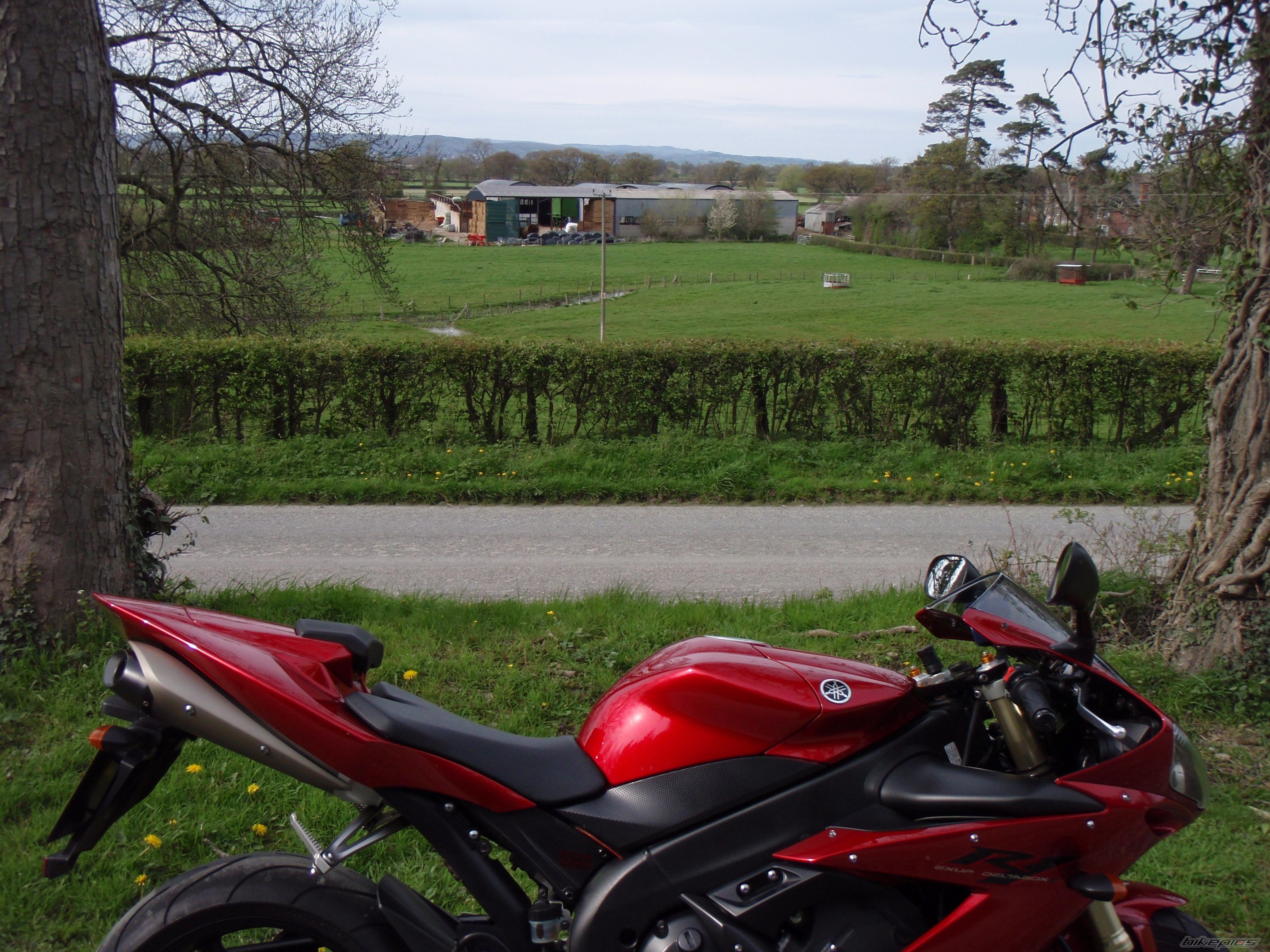 2004 YAMAHA YZF R1 | Picture 1268602 motorcycle photo