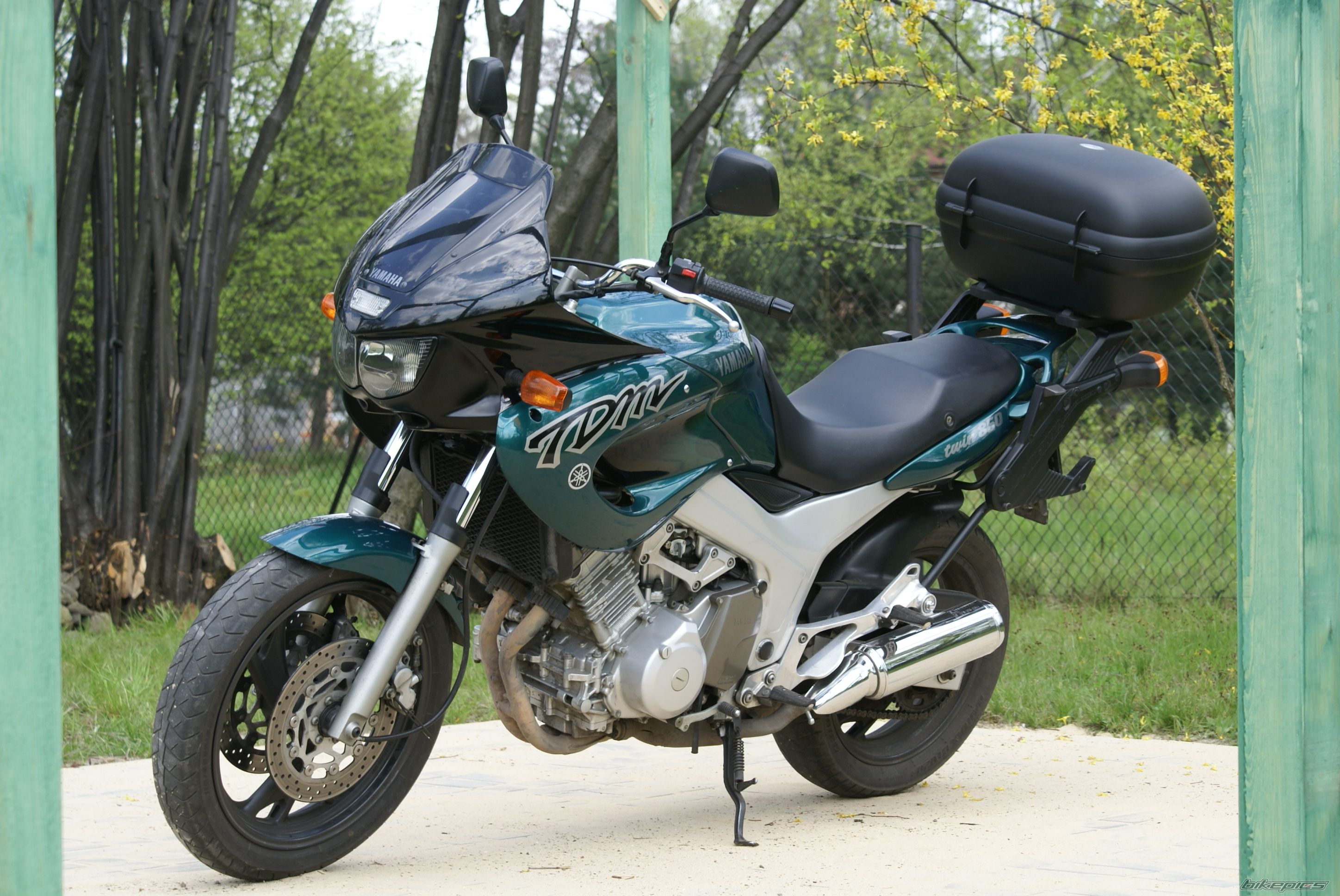 1998 YAMAHA TDM 850 | Picture 1268663 motorcycle photo