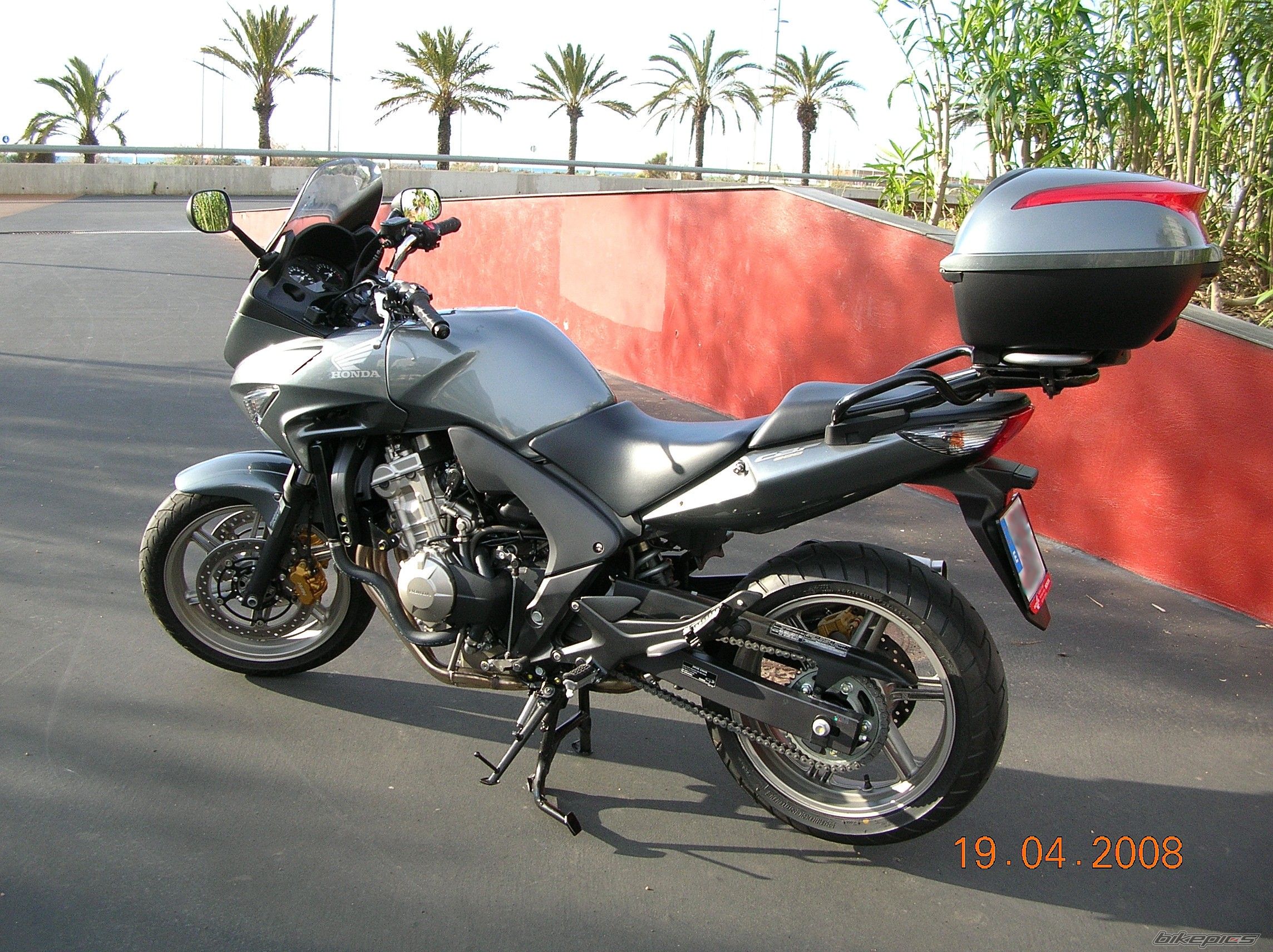 2008 HONDA CBF 600 | Picture 1268892 motorcycle photo