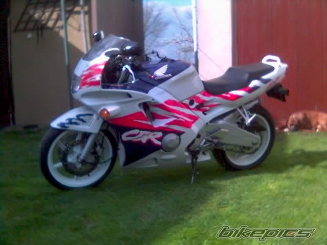 1993 HONDA CBR 600 | Picture 1269242 motorcycle photo