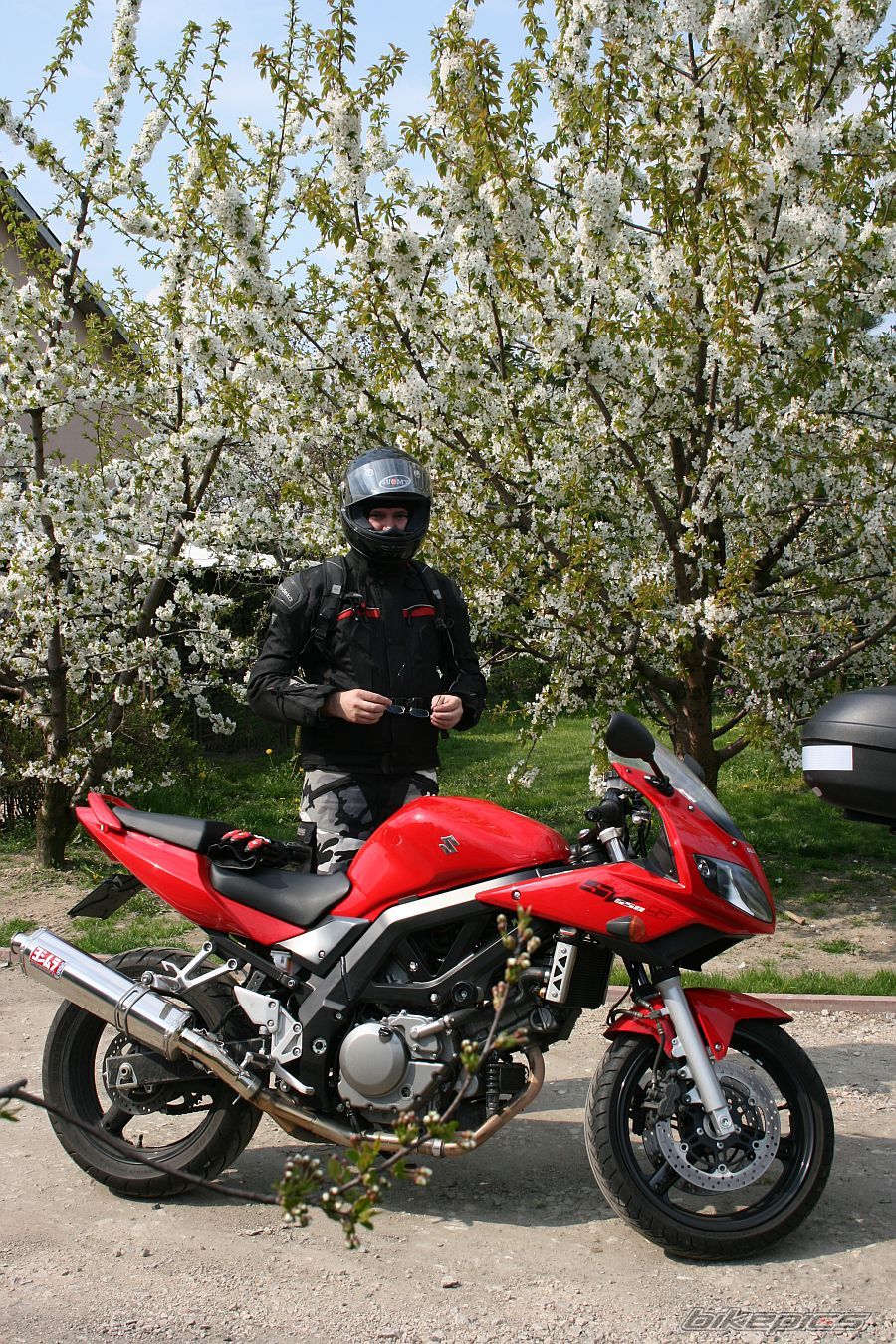 2006 SUZUKI SV 650S | Picture 1269392 motorcycle photo