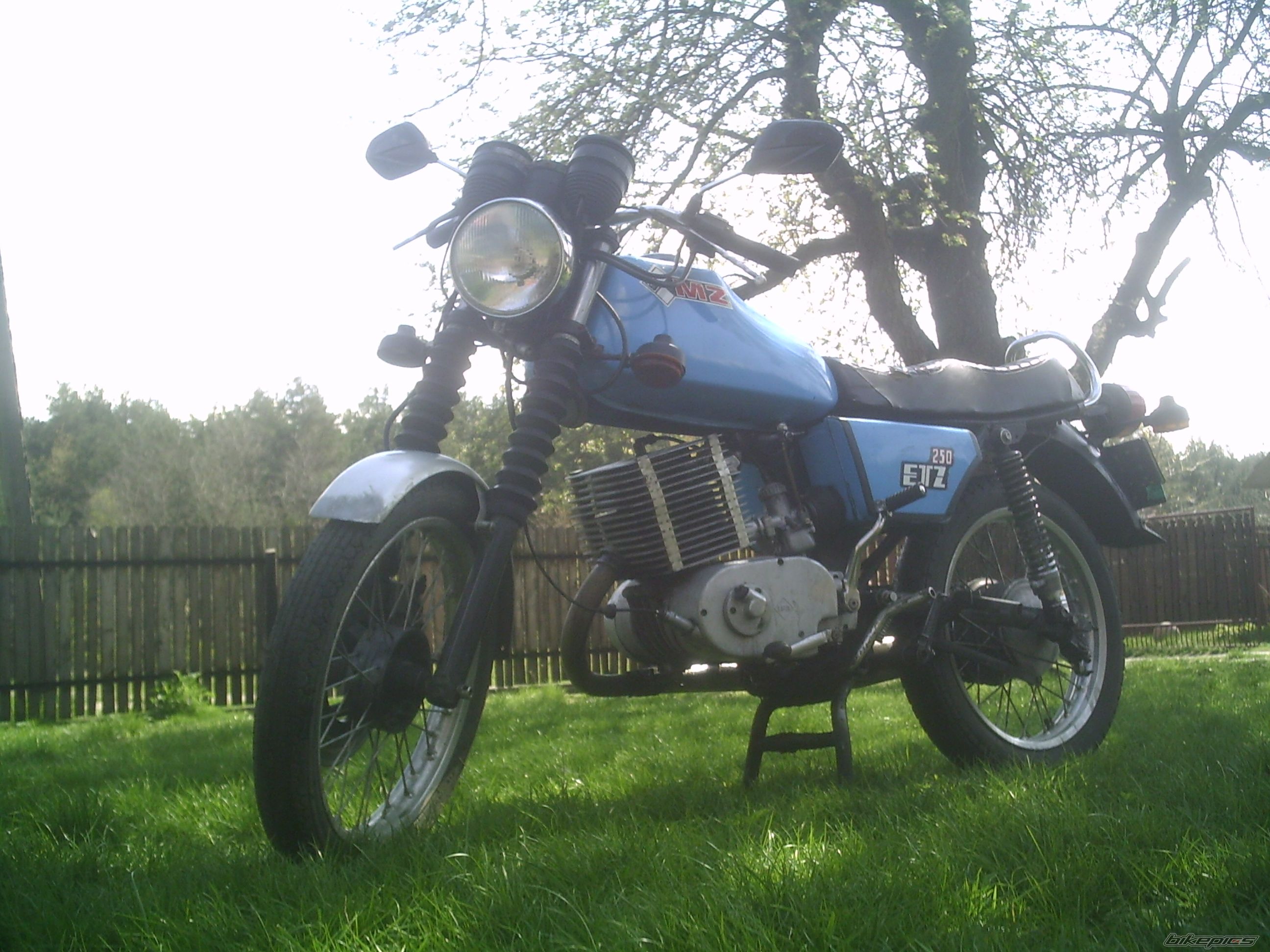 1987 MZ ETZ 250 | Picture 1269425 motorcycle photo