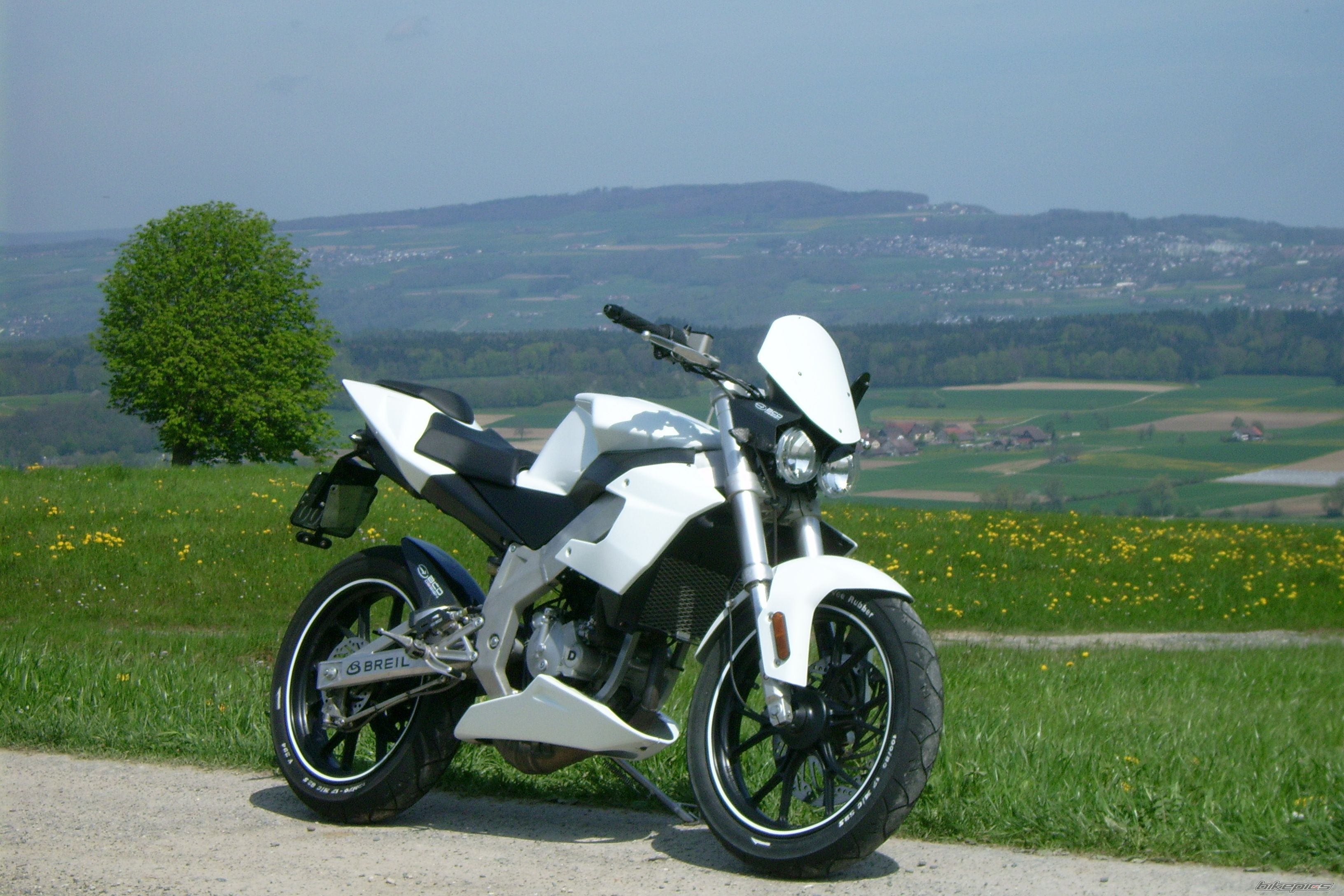 2006 DERBI GPR NUDE | Picture 1269558 motorcycle photo