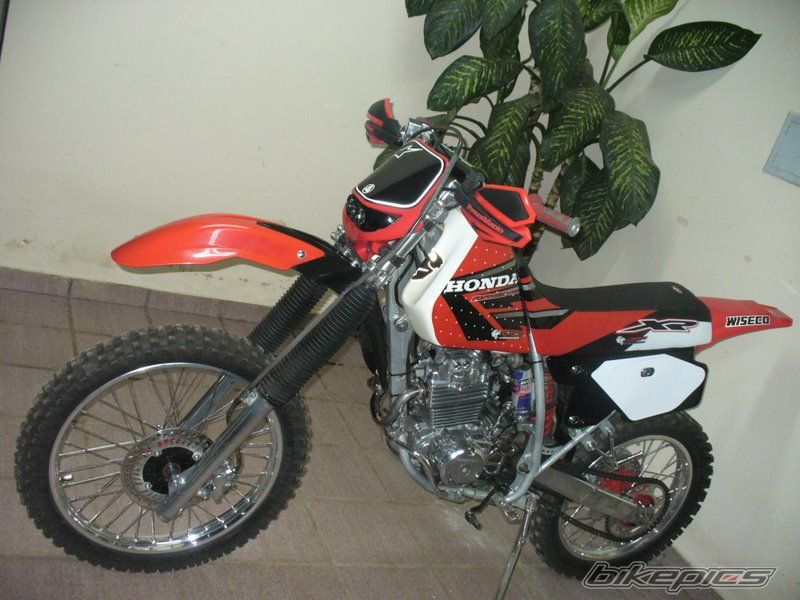 2008 HONDA XR 250 | Picture 1269612 motorcycle photo