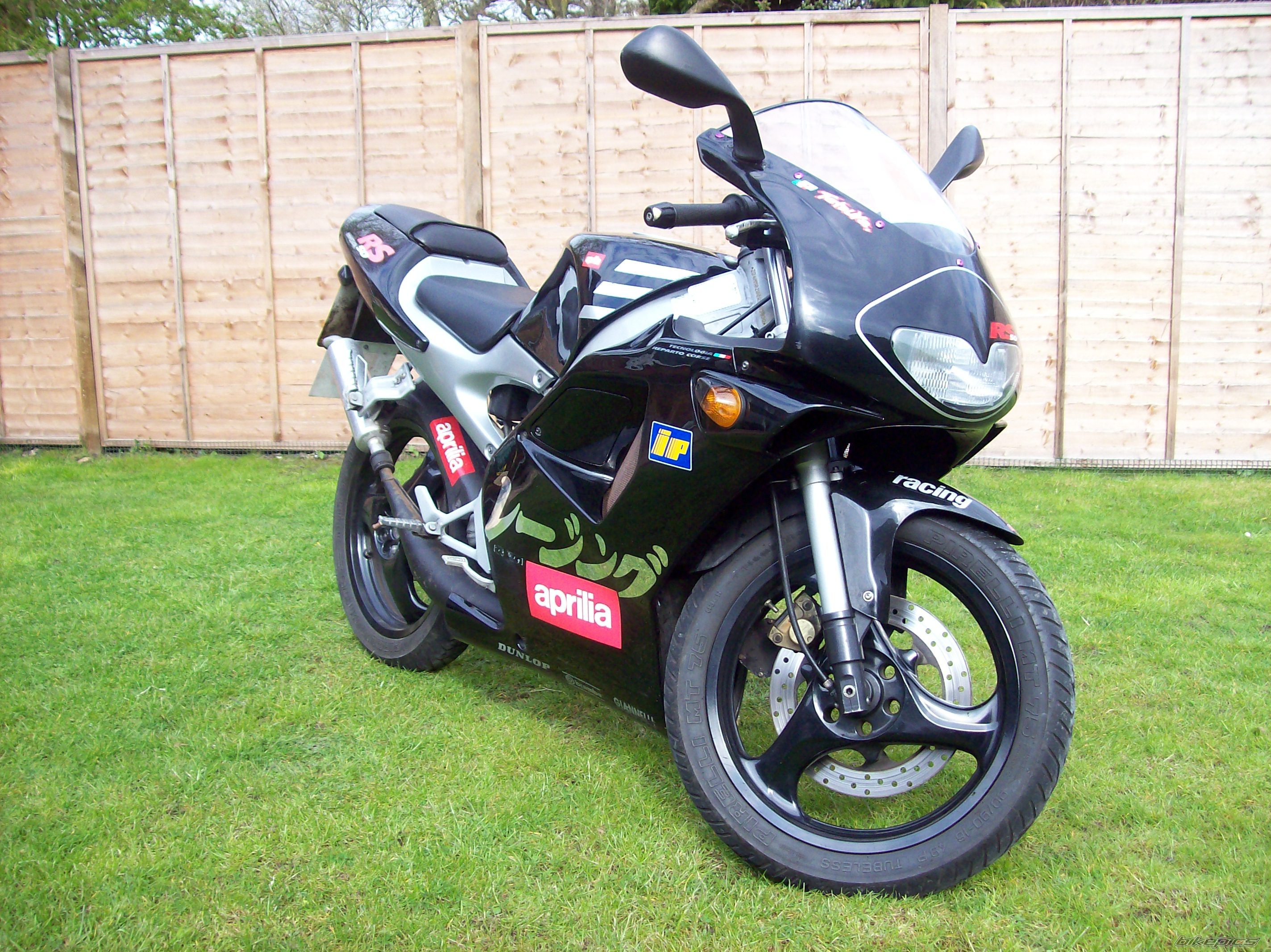 1998 APRILIA RS 50 | Picture 1269669 motorcycle photo