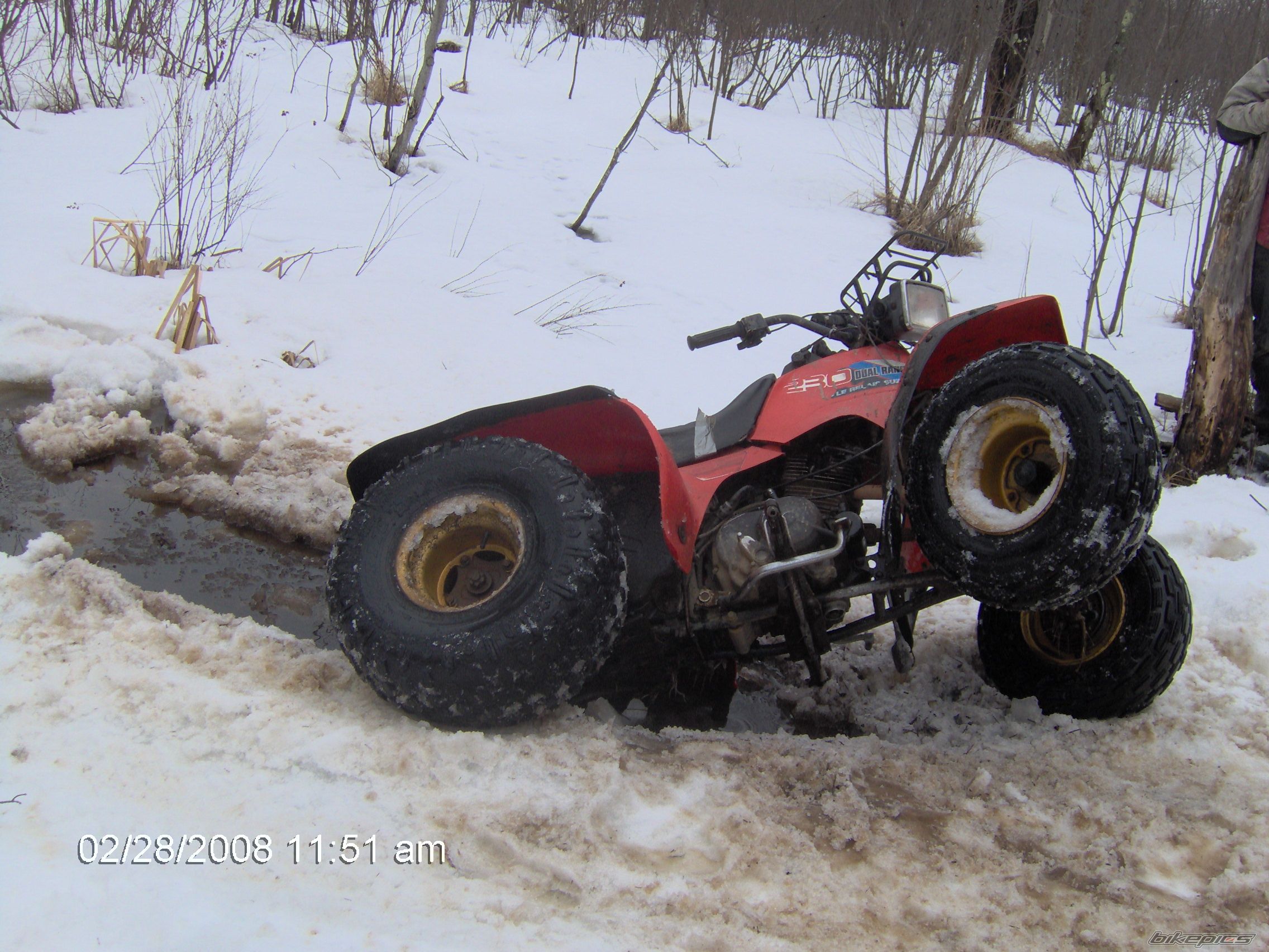 1986 SUZUKI Q. RUNNER 250 | Picture 1270017 motorcycle photo