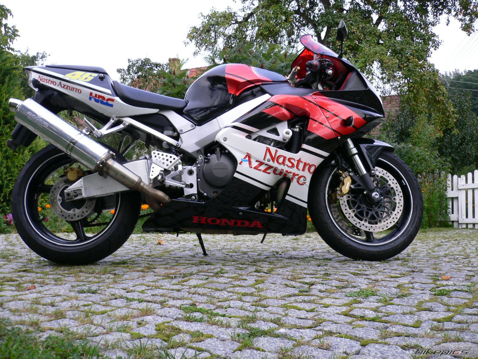 2000 HONDA CBR 900 | Picture 1270582 motorcycle photo