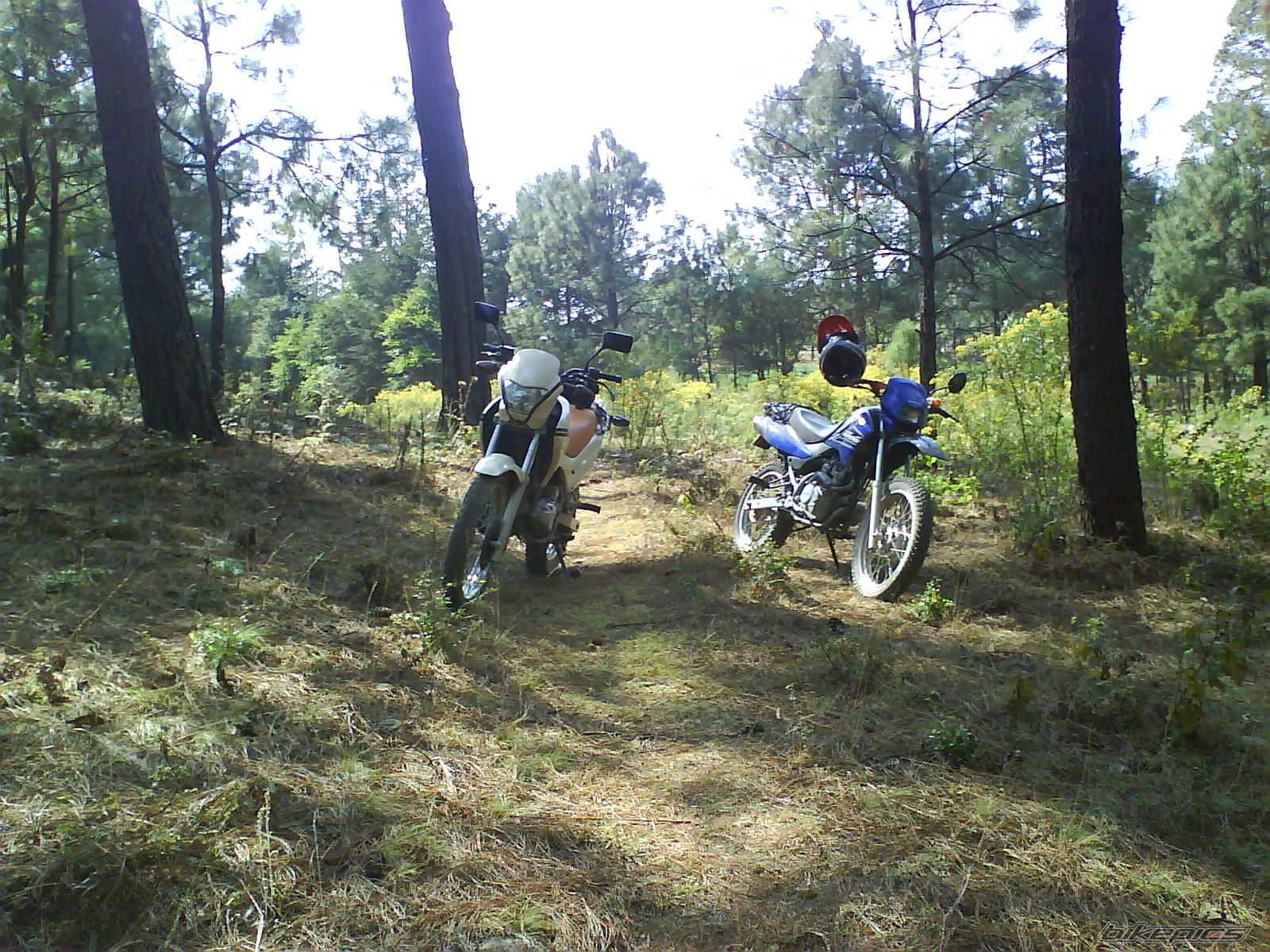 2007 HONDA NXR 125 | Picture 1270890 motorcycle photo