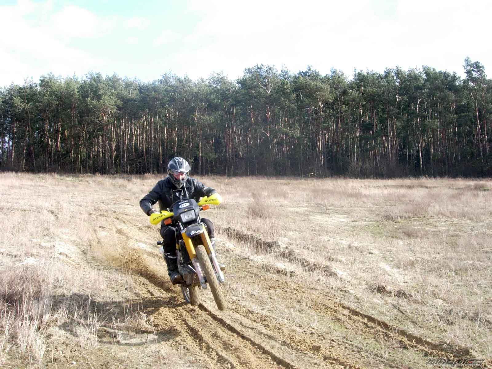 2000 SUZUKI DR 650 | Picture 1271110 motorcycle photo