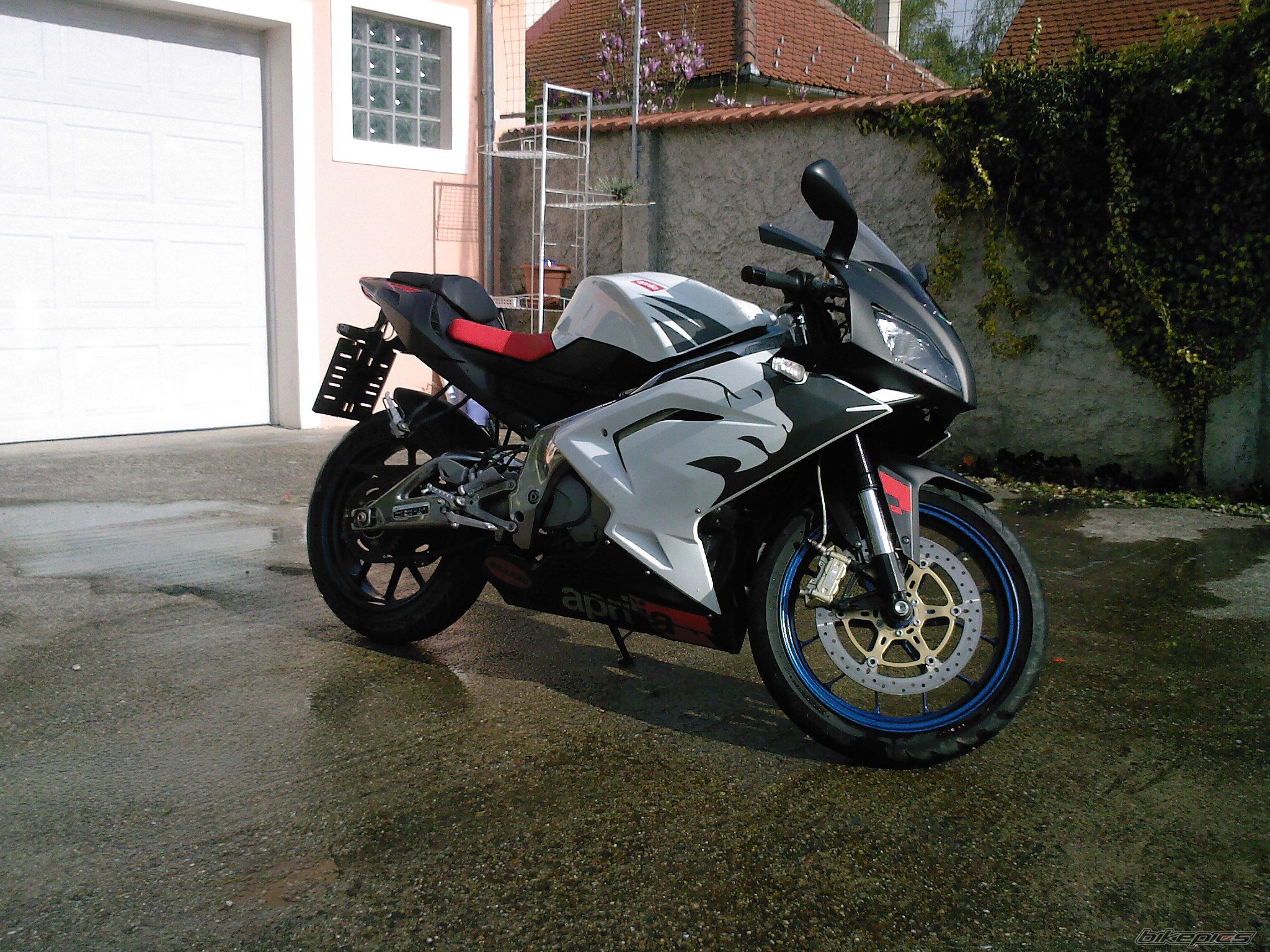 2007 APRILIA RS 125 | Picture 1271132 motorcycle photo