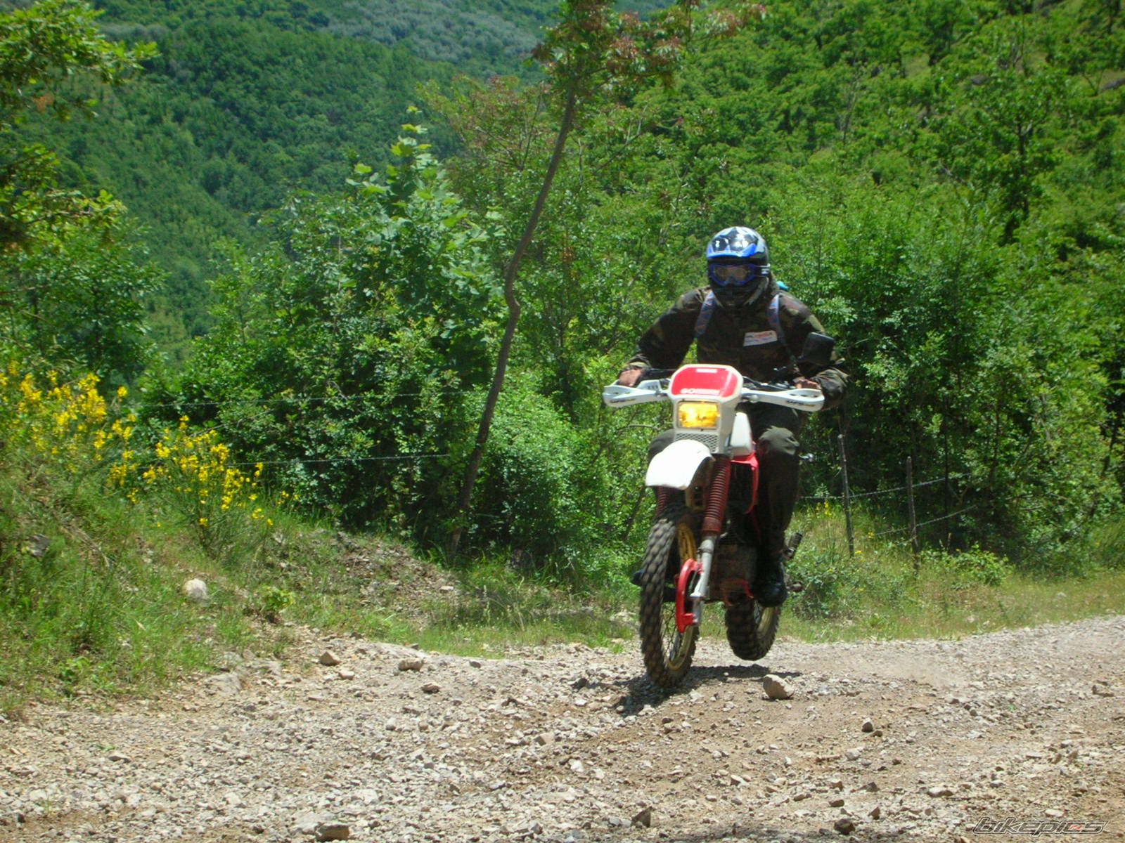 1989 YAMAHA XT 600 | Picture 1271523 motorcycle photo