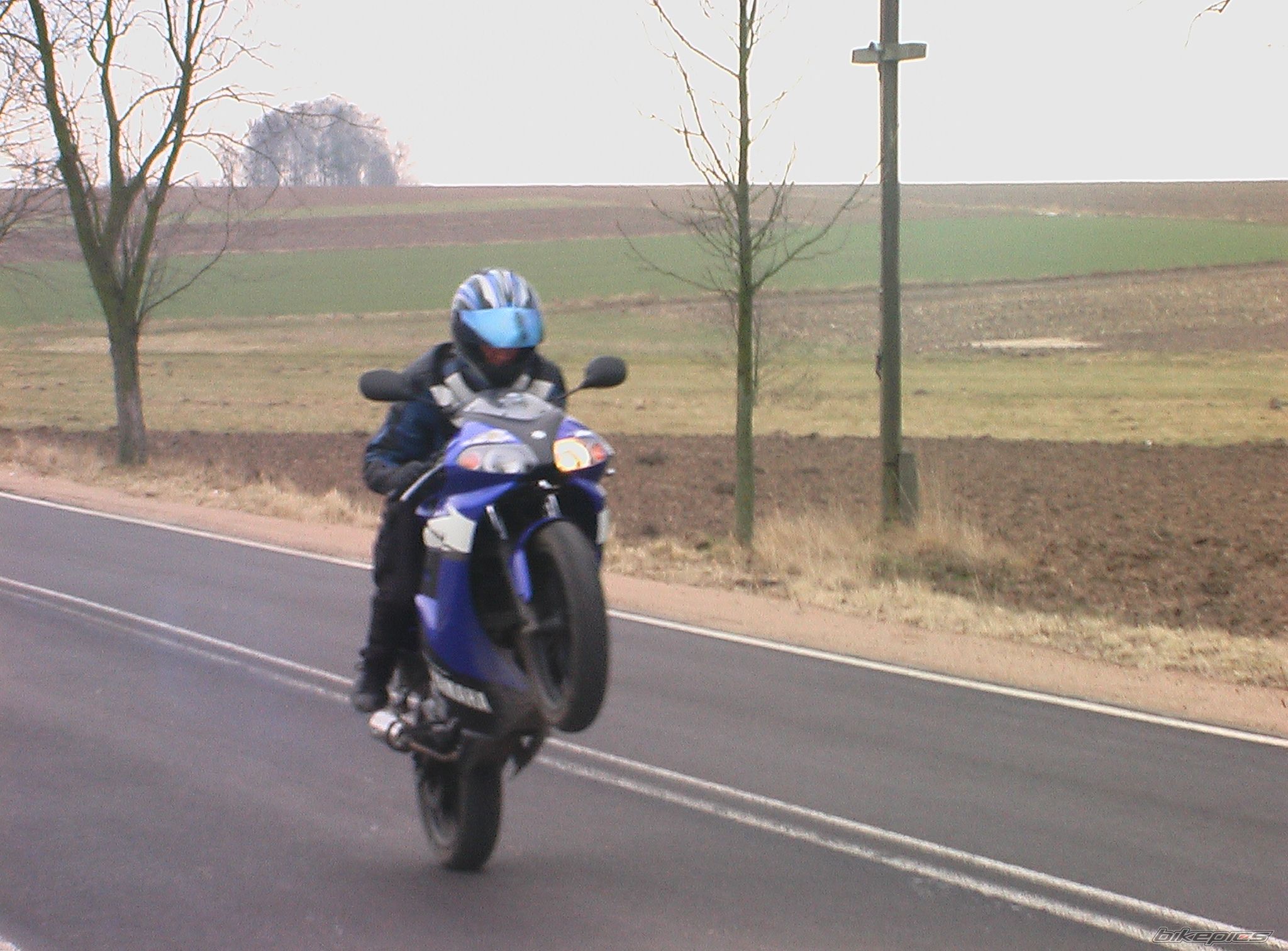 2005 YAMAHA TZR 50 | Picture 1271581 motorcycle photo