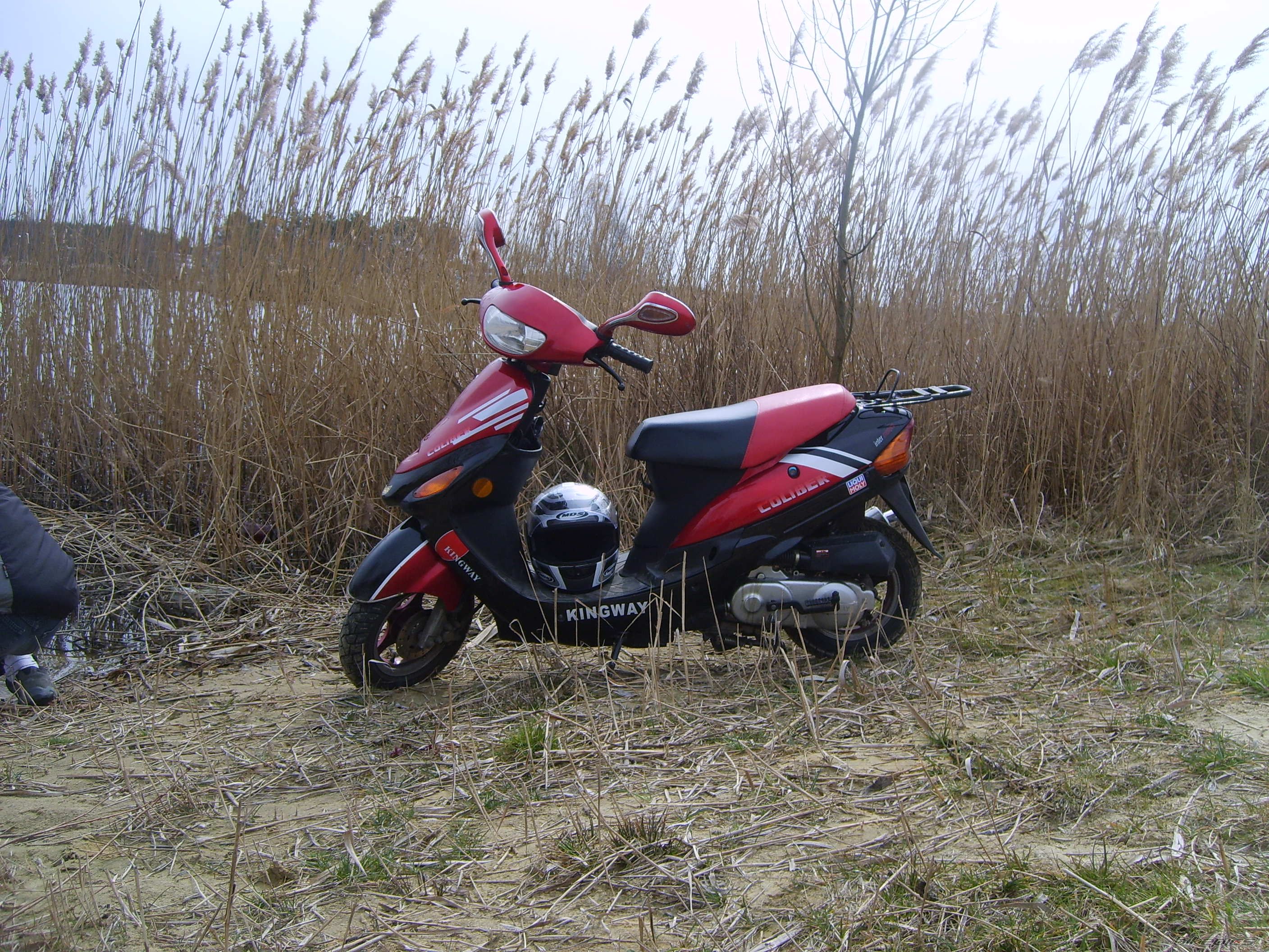    | Picture 1271672 motorcycle photo