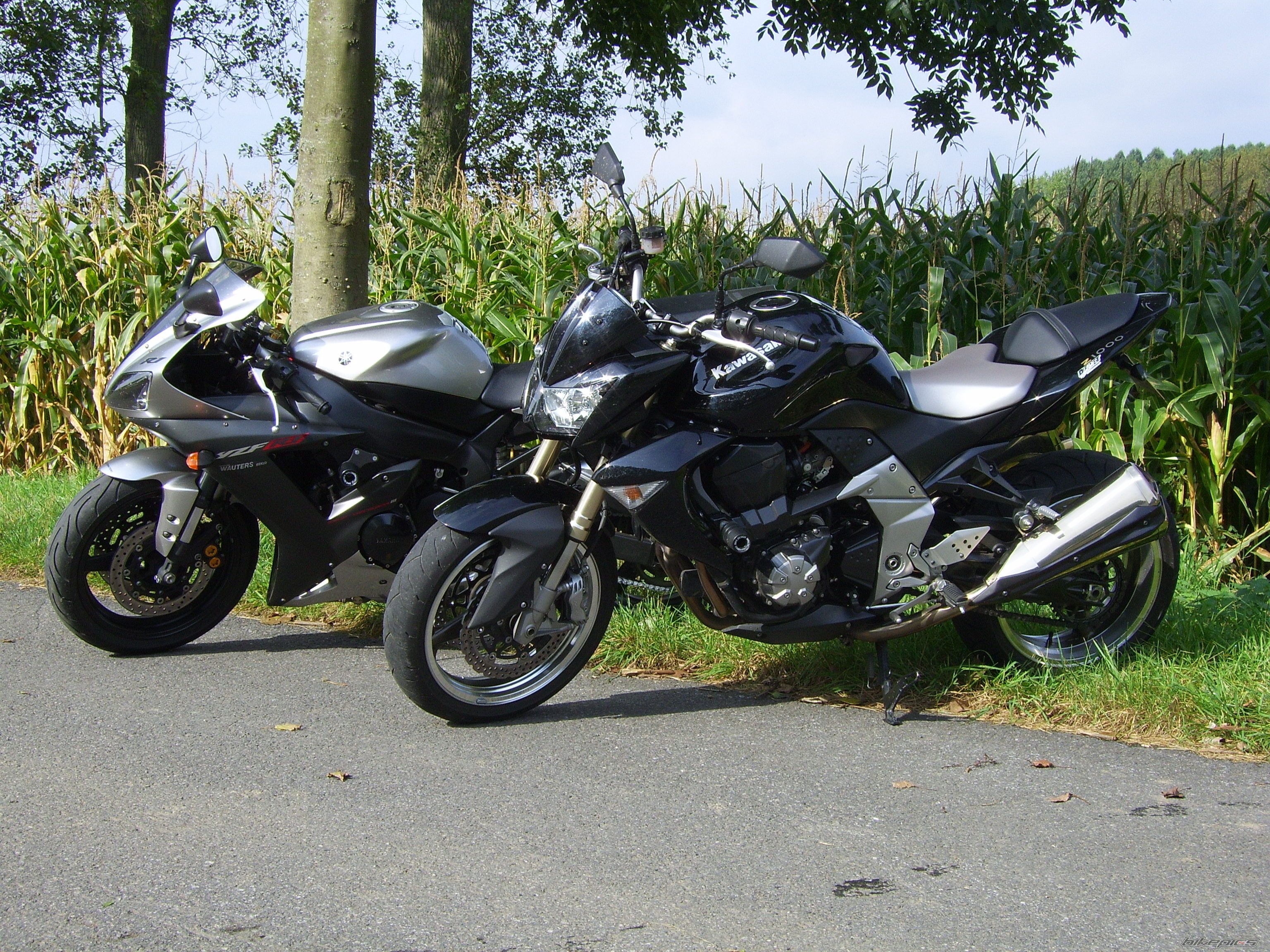 2003 YAMAHA YZF R1 | Picture 1271907 motorcycle photo