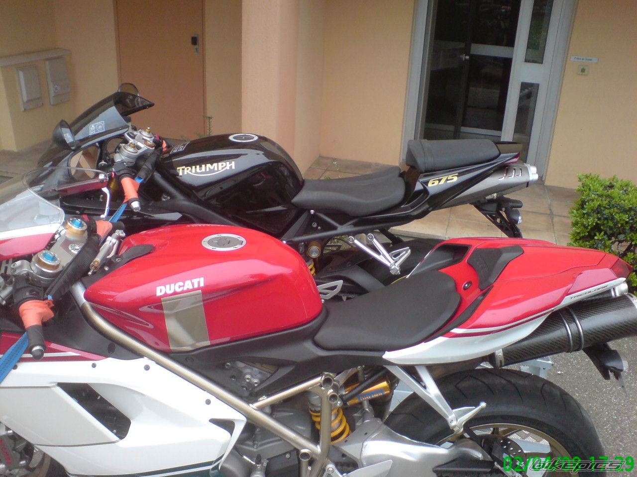 2008 TRIUMPH DAYTONA 675 | Picture 1272147 motorcycle photo