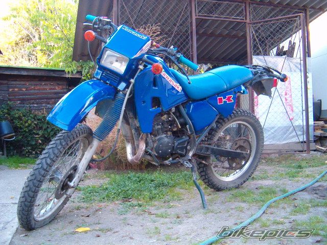 1991 KAWASAKI KMX 125 | Picture 1272580 motorcycle photo