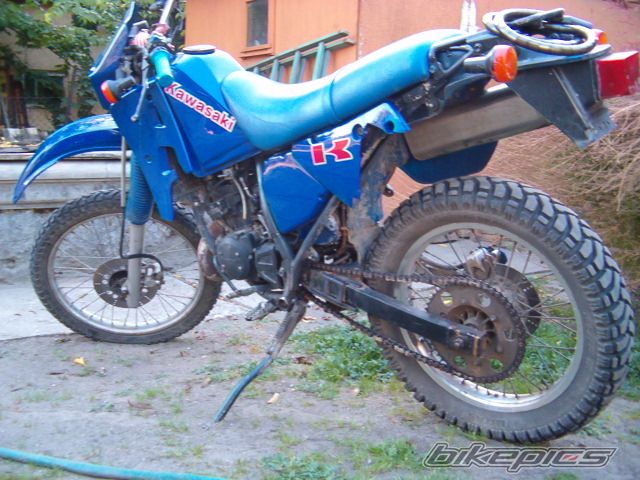 1991 KAWASAKI KMX 125 | Picture 1272582 motorcycle photo