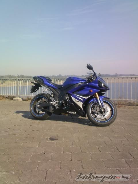 2008 YAMAHA YZF R1 | Picture 1272671 motorcycle photo