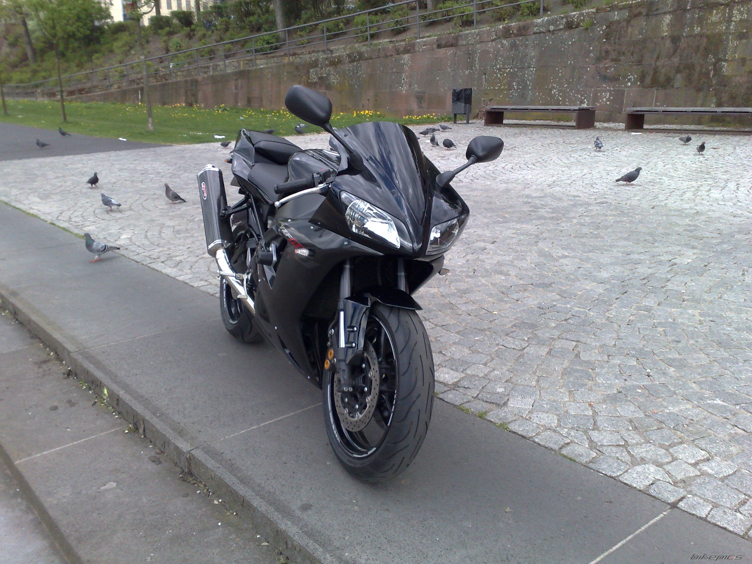2003 YAMAHA YZF R1 | Picture 1273410 motorcycle photo