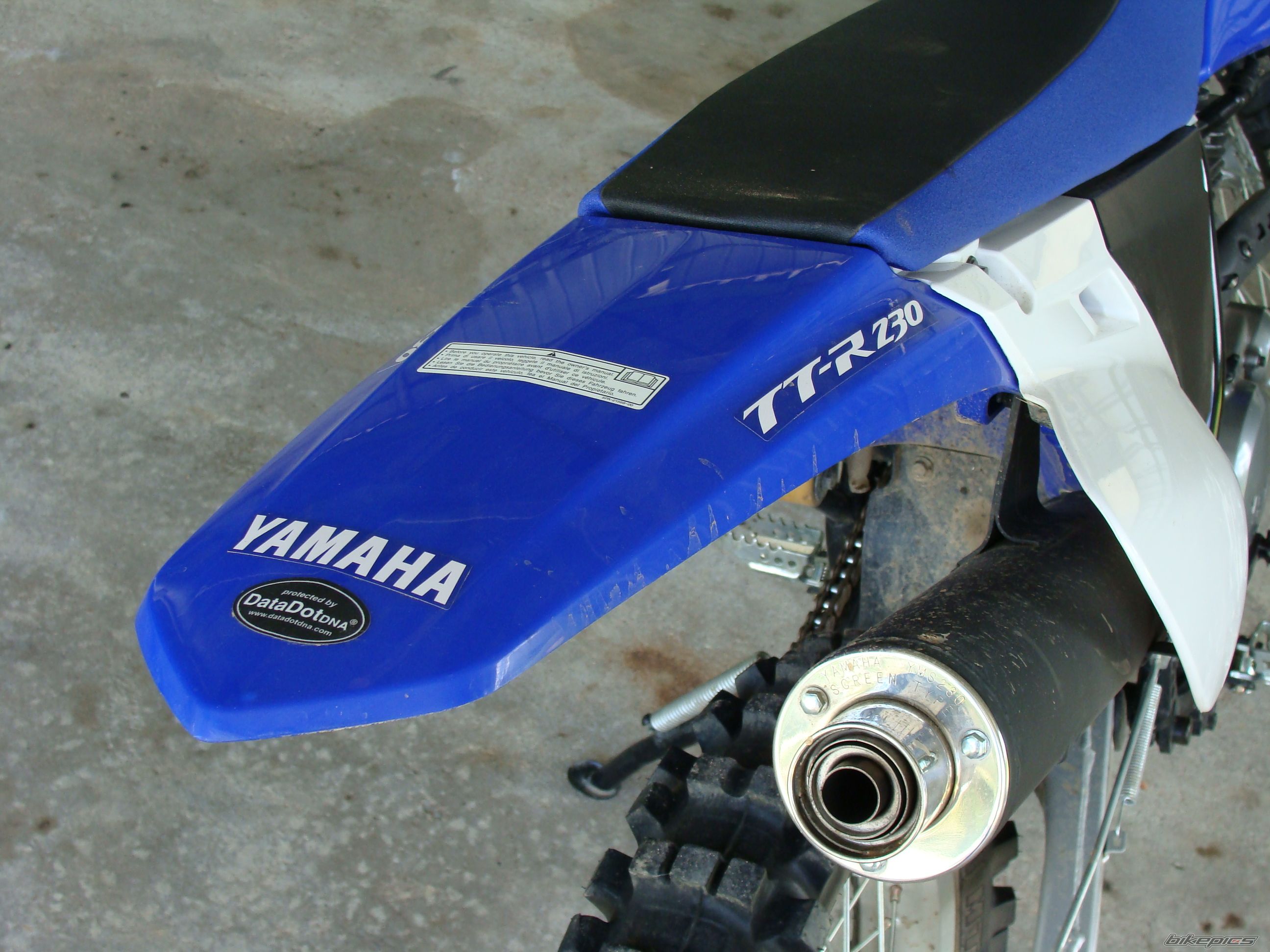 2008 YAMAHA TTR 225 | Picture 1273667 motorcycle photo