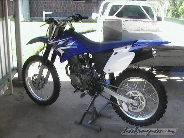 2008 YAMAHA TTR 225 | Picture 1273671 motorcycle photo