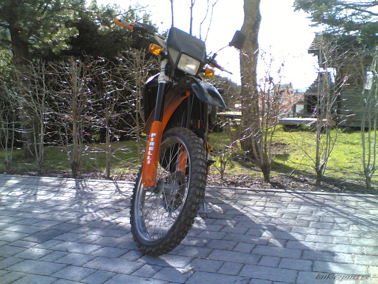 1998 APRILIA RX 50 | Picture 1274088 motorcycle photo