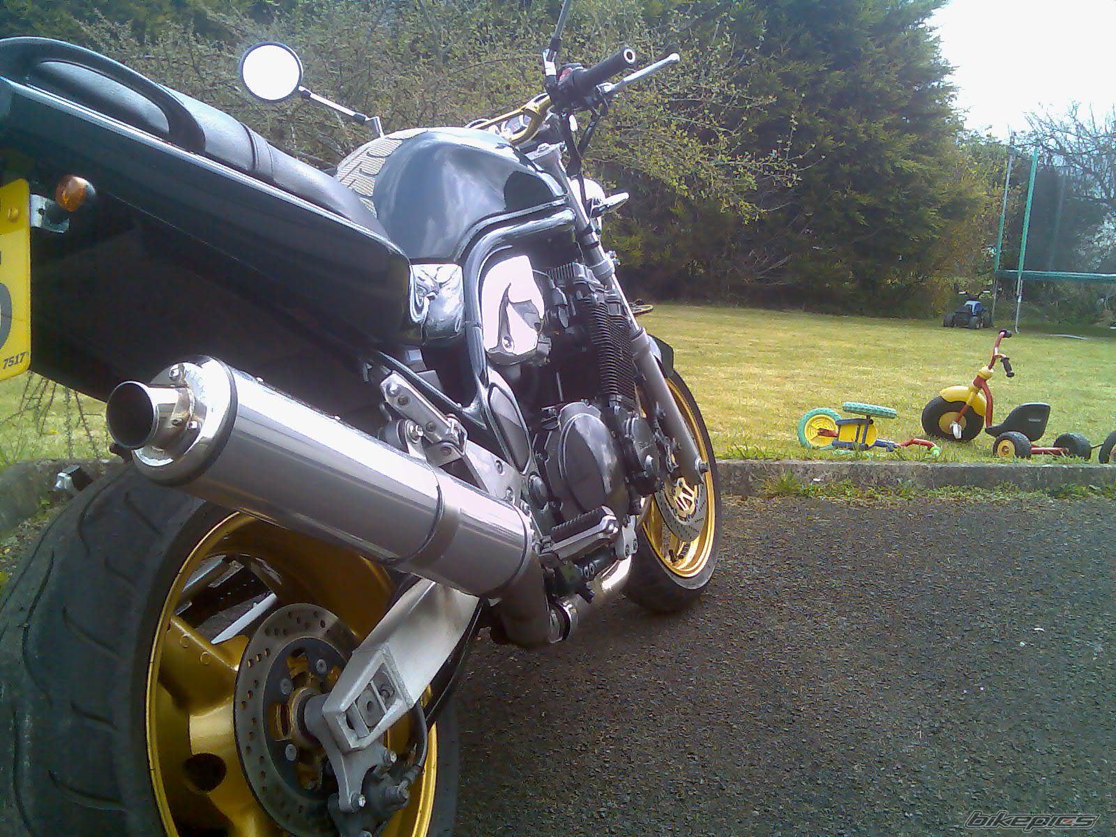 1998 SUZUKI BANDIT 1200 | Picture 1274491 motorcycle photo