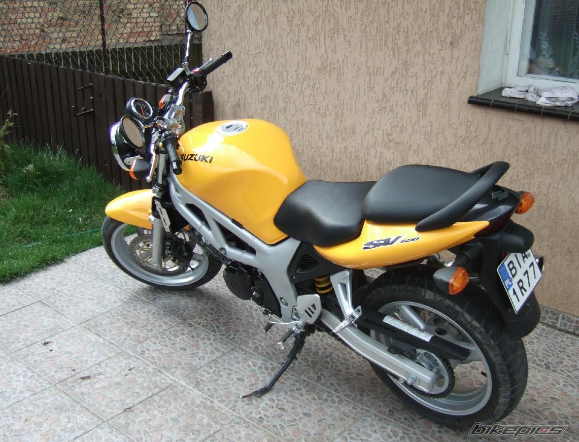 1999 SUZUKI SV 650 | Picture 1274641 motorcycle photo