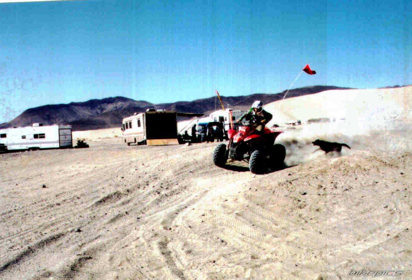 2000 POLARIS SCRAMBLER 400 | Picture 127465 motorcycle photo