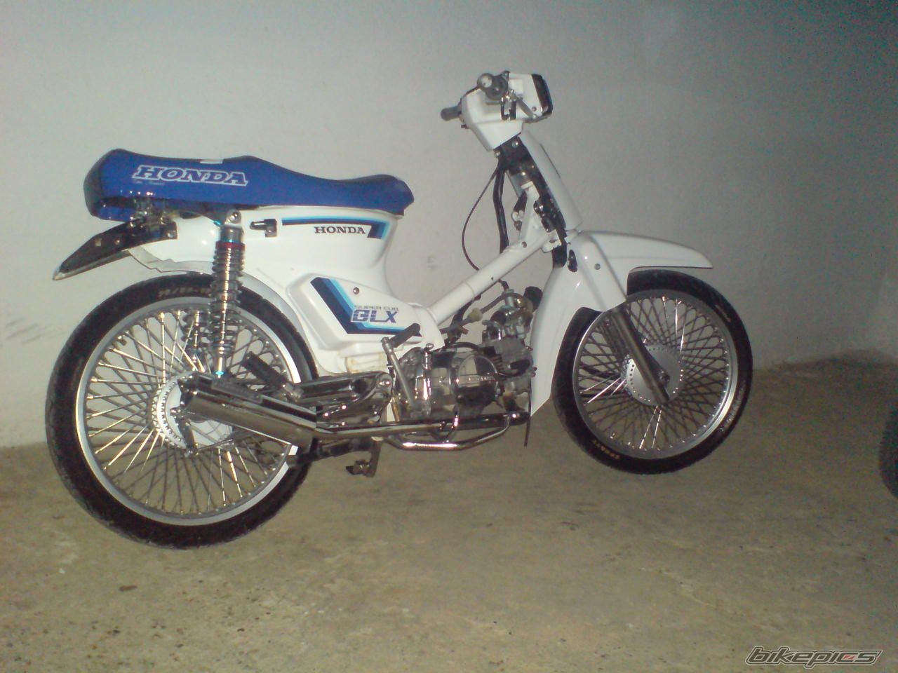 2008 HONDA GLX 50 | Picture 1274858 motorcycle photo