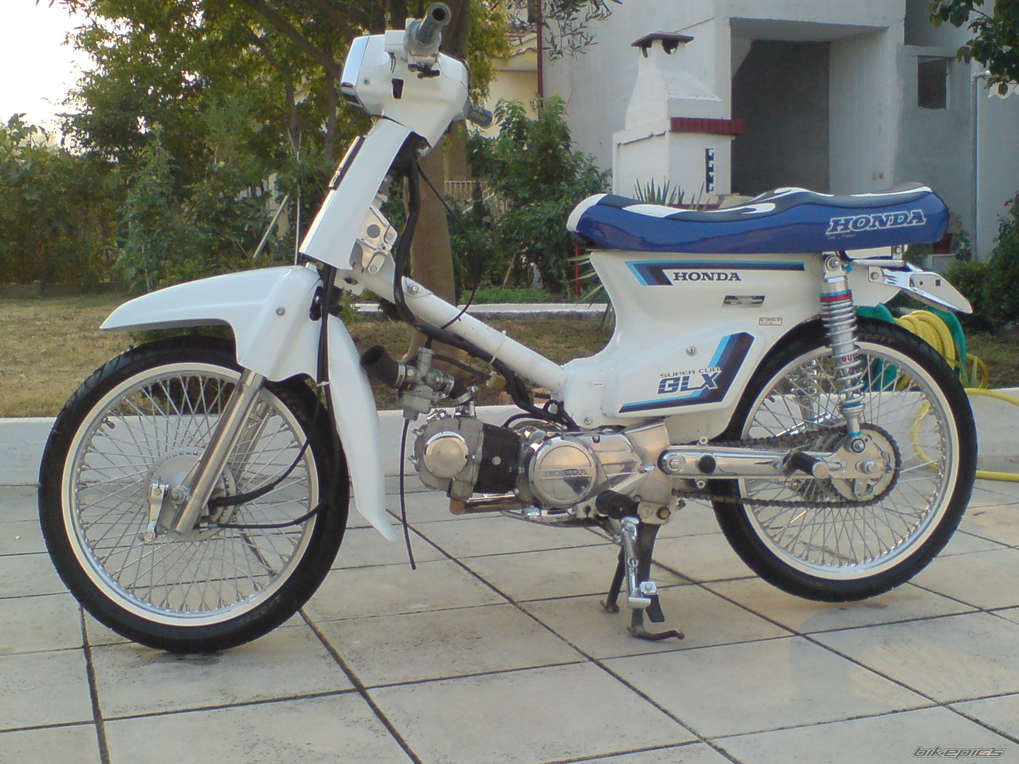 2008 HONDA GLX 50 | Picture 1274864 motorcycle photo
