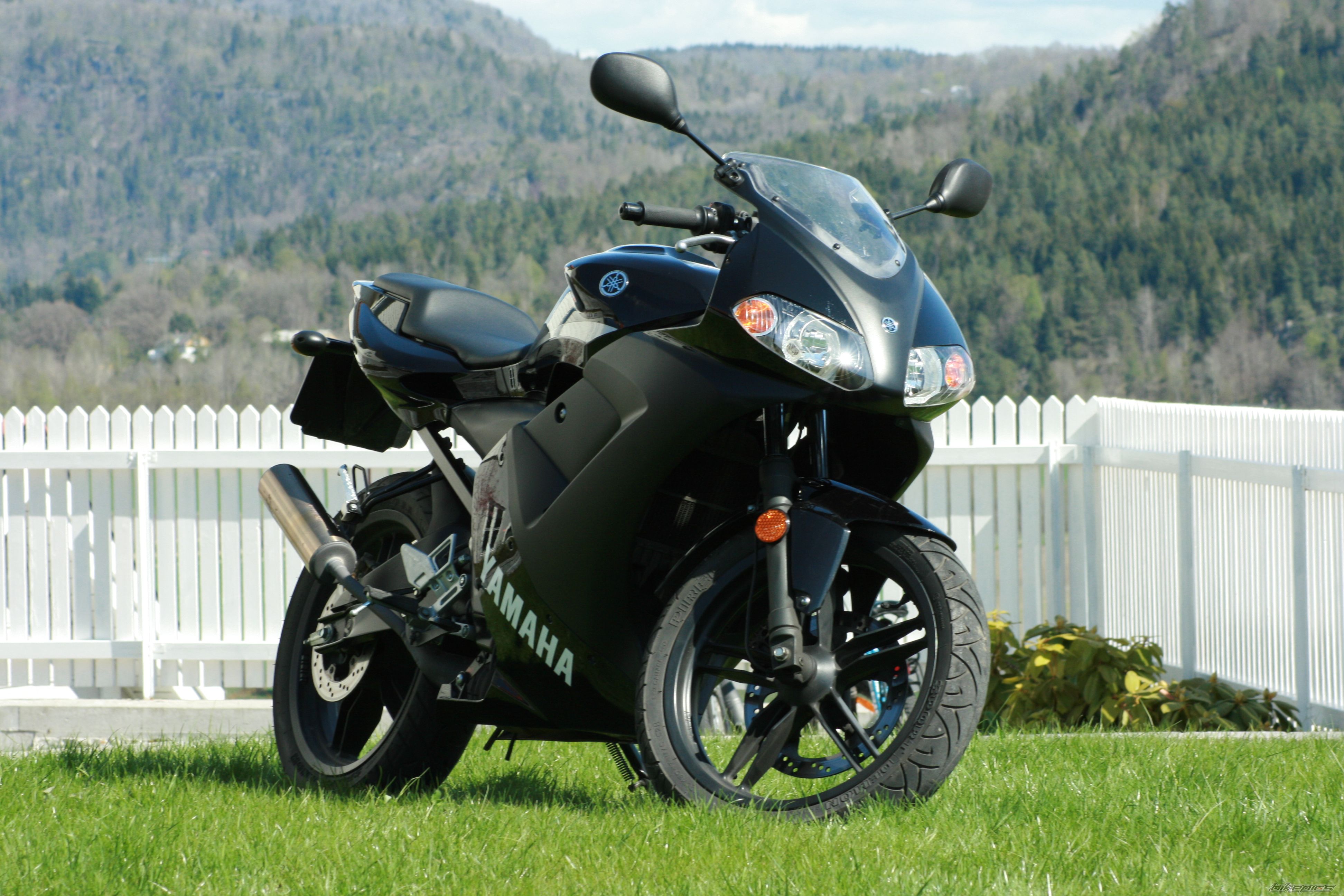 2006 YAMAHA TZR 50 | Picture 1275200 motorcycle photo